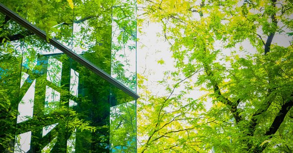 Geen ESG-backlash bij Nederlandse pensioenfondsen, juist méér focus op real world impact